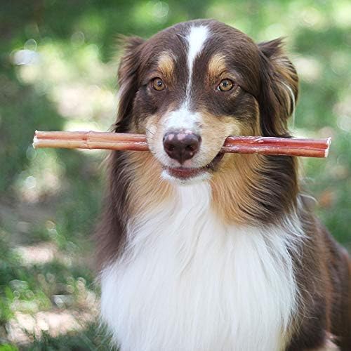 100% Natural Brazilian Bully Sticks - 1 lb Bag 10.00% Off Auto renew