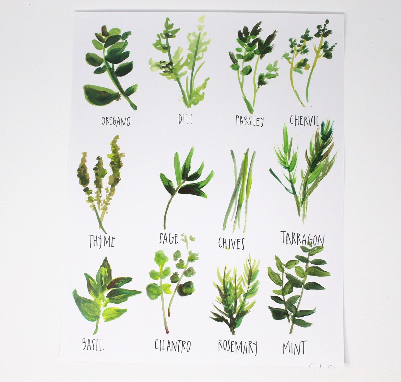 All about Herbs! Art Print- 11x14in, Food Art, Home Decor, Kitchen Decor, Simple Design